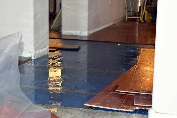 Professional Sewage Cleanup technician working in Hartford, MI